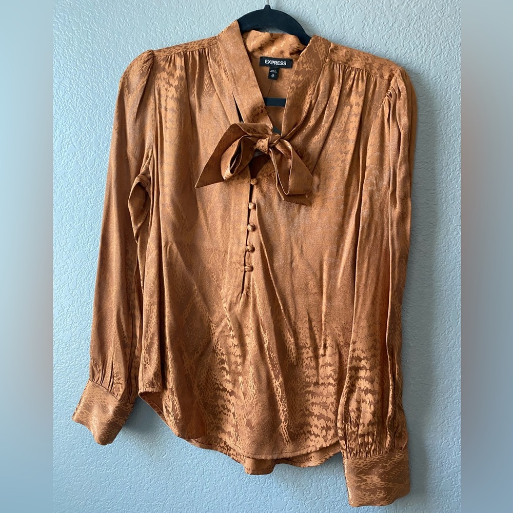 Express buttoned down blouse